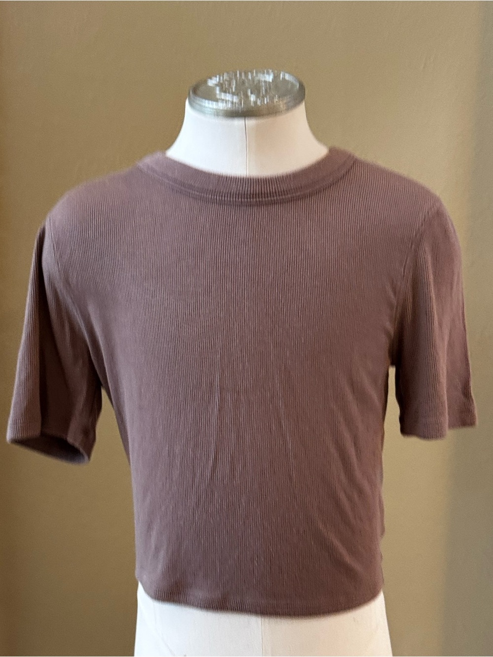 Lululemon Cropped Short Sleeve Tee in Light Brown